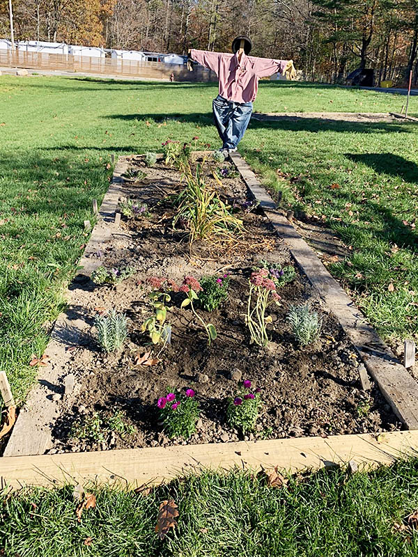 Garden plot